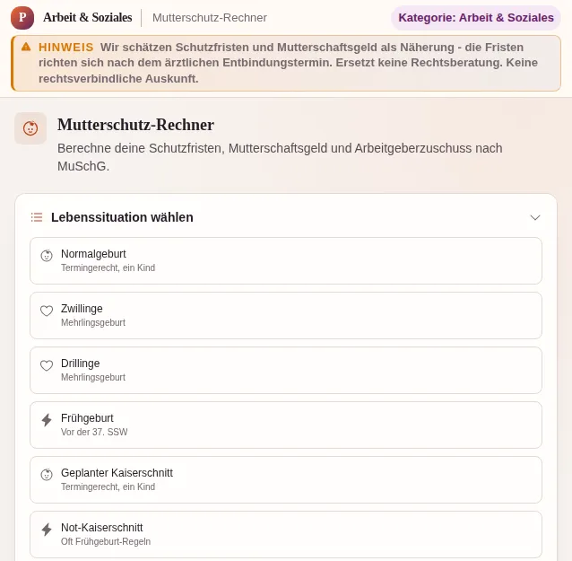 Mutterschutz-Rechner: Bildschirmfoto des Werkzeugs mit Beispieldaten