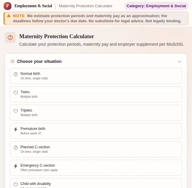 Maternity Protection Calculator: screenshot of the tool with sample data