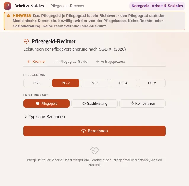 Pflegegeld-Rechner: Bildschirmfoto des Werkzeugs mit Beispieldaten